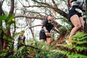 BIB: 
                            <button type="button" onclick="openModal(26299680)" class="btn btn-primary btn-sm float-right btn-popup" data-toggle="modal" data-target=".modal-high-quality">
                        <i class="fas fa-shopping-cart"></i> Add to Cart
                    </button>
                                            <button type="button" onclick="isThisMe(26299680, true)" class="btn btn-success btn-sm float-right btn-popup btn-isme hidden" data-toggle="tooltip" data-placement="bottom" title="นี่คือรูปของคุณใช่ไหม คลิกที่นี่เพื่อเอาเข้าอัลบั้ม">
                        <i class="fas fa-plus"></i> Add to album
                    </button>
                    <button type="button" onclick="isThisMe(26299680, false)" class="btn btn-warning btn-sm float-right btn-popup btn-isnotme hidden">
                        <i class="fas fa-ban"></i> Remove from album
                    </button>